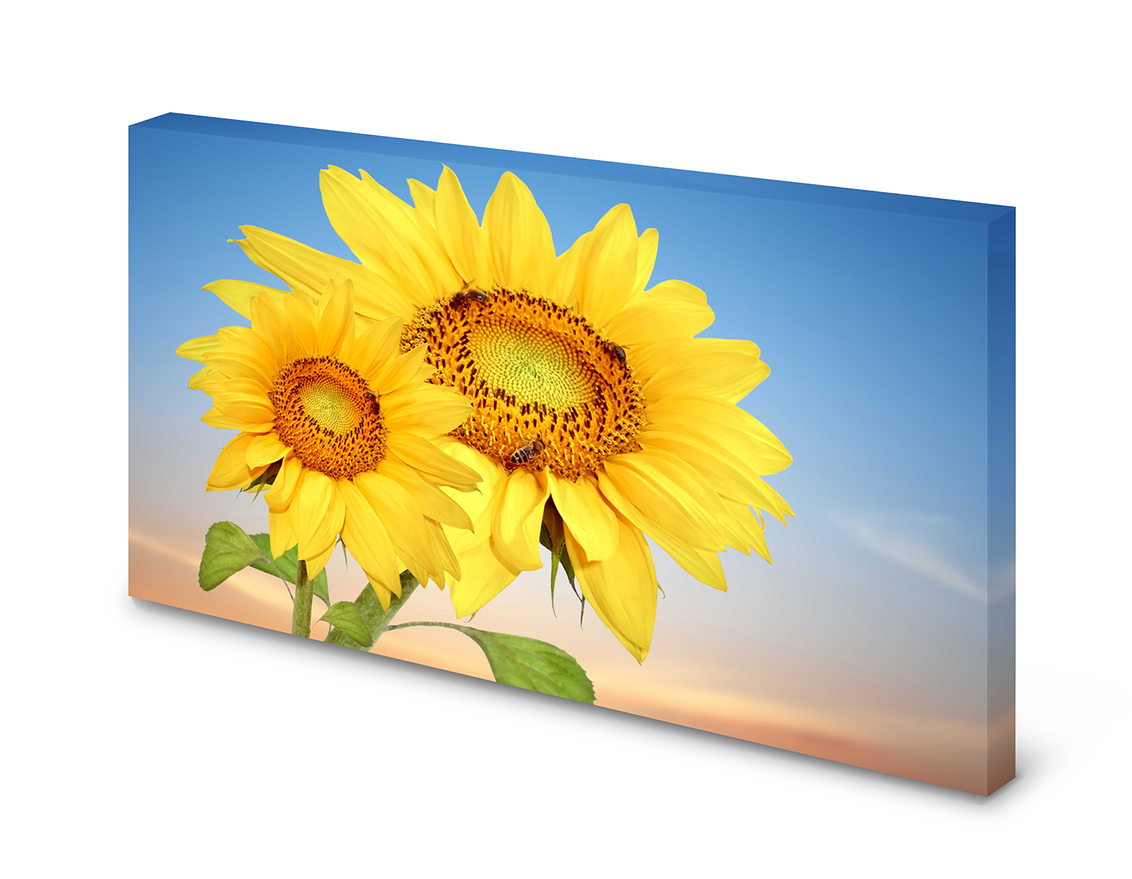 Magnettafel Pinnwand Bild Sonnenblumen Natur Blumen XXL gekantet
