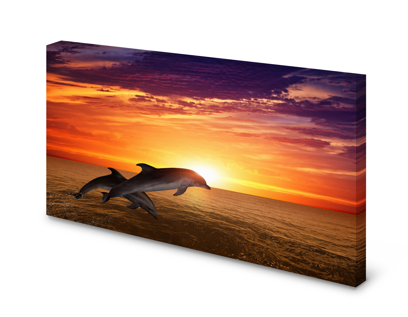 Magnettafel Pinnwand Bild Delphine Meer Sonne gekantet