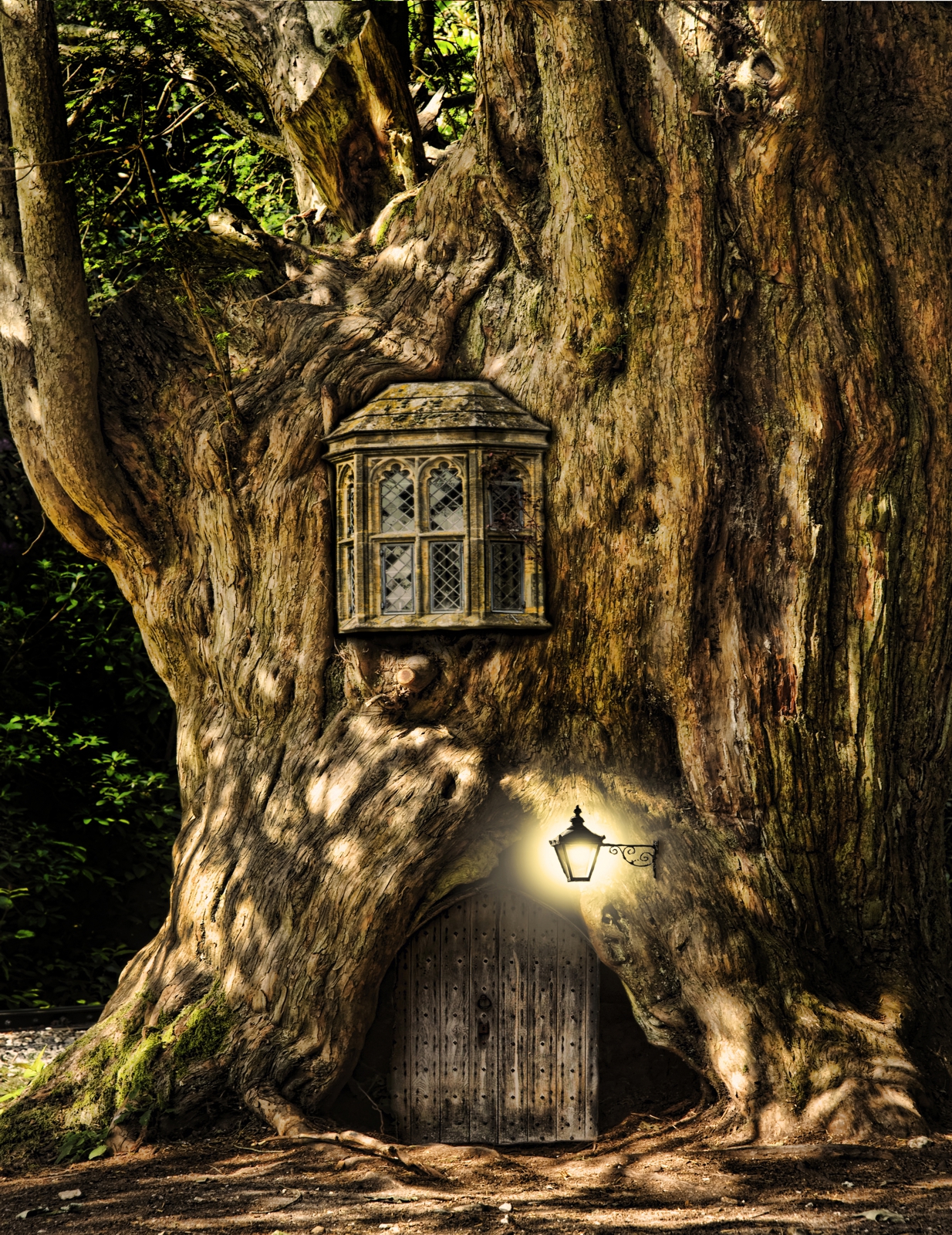 Leinwand Bild edel Fantasy Baum Haus