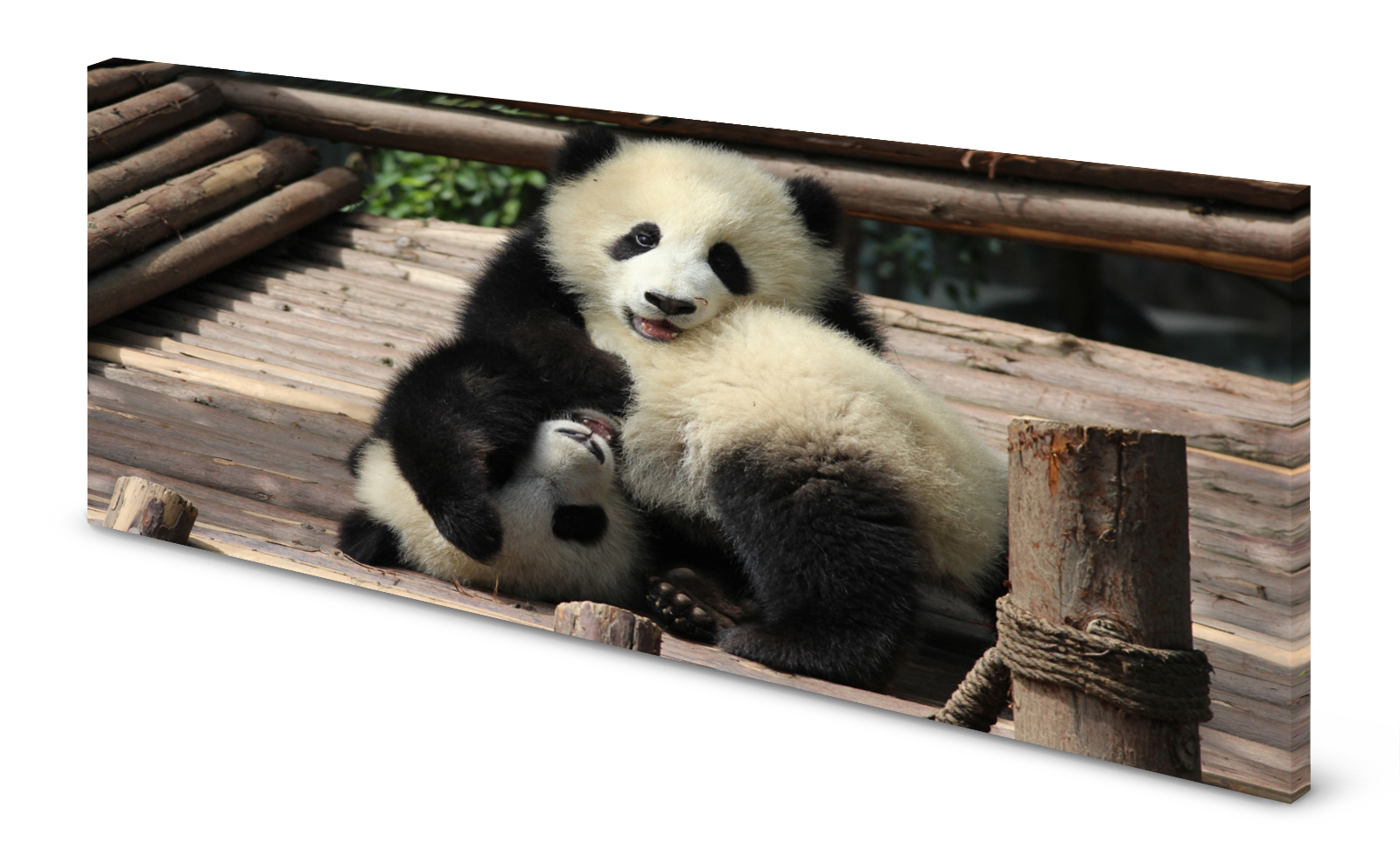 Magnettafel Pinnwand Bild Pandabär Panda gekantet