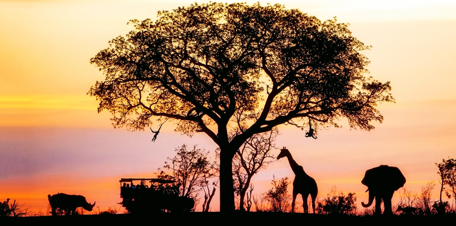 Magnettafel Pinnwand Bild XXL Panorama Afrika Tiere Wildnis