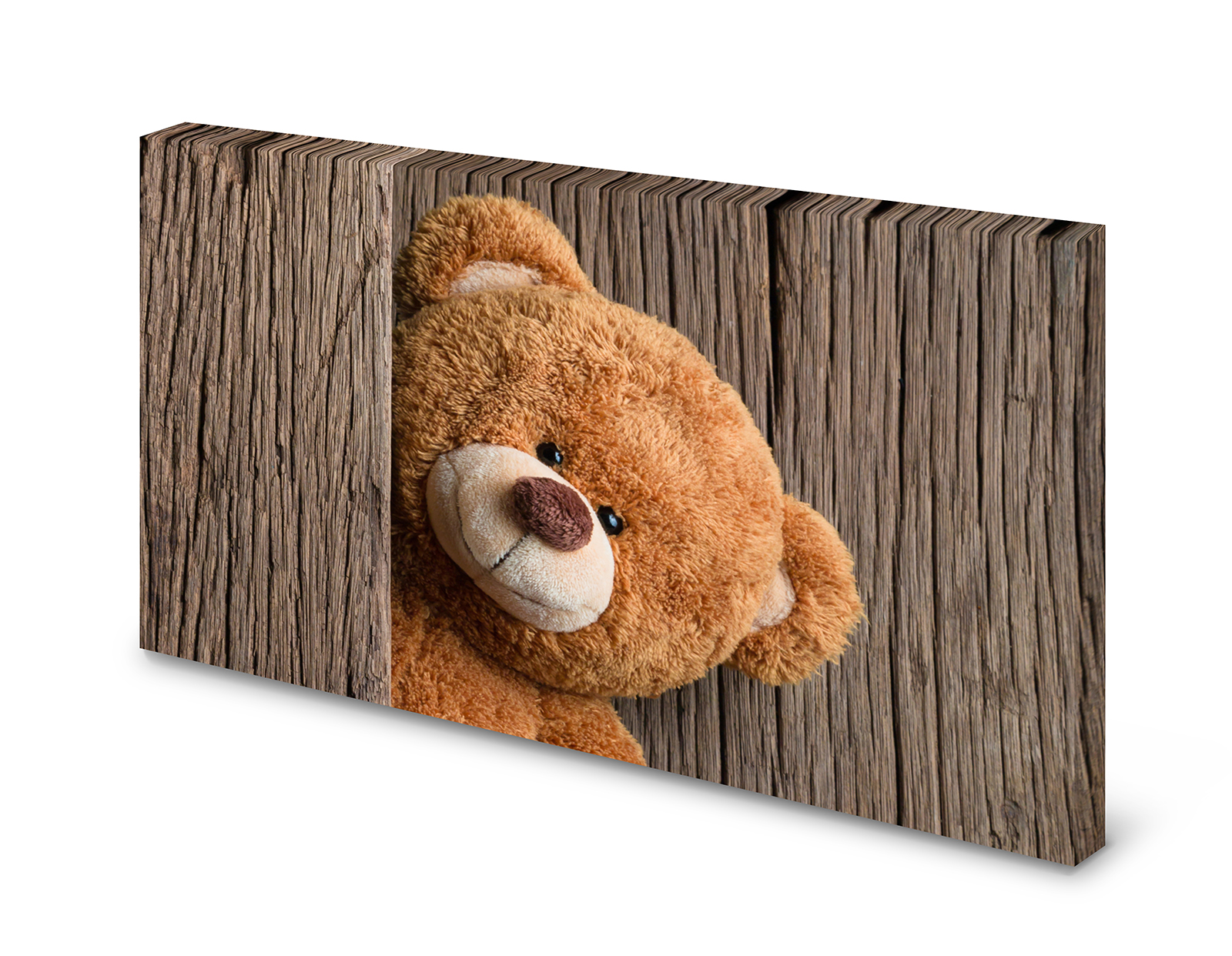 Magnettafel Pinnwand Bild   Teddy Teddybär XXL gekantet