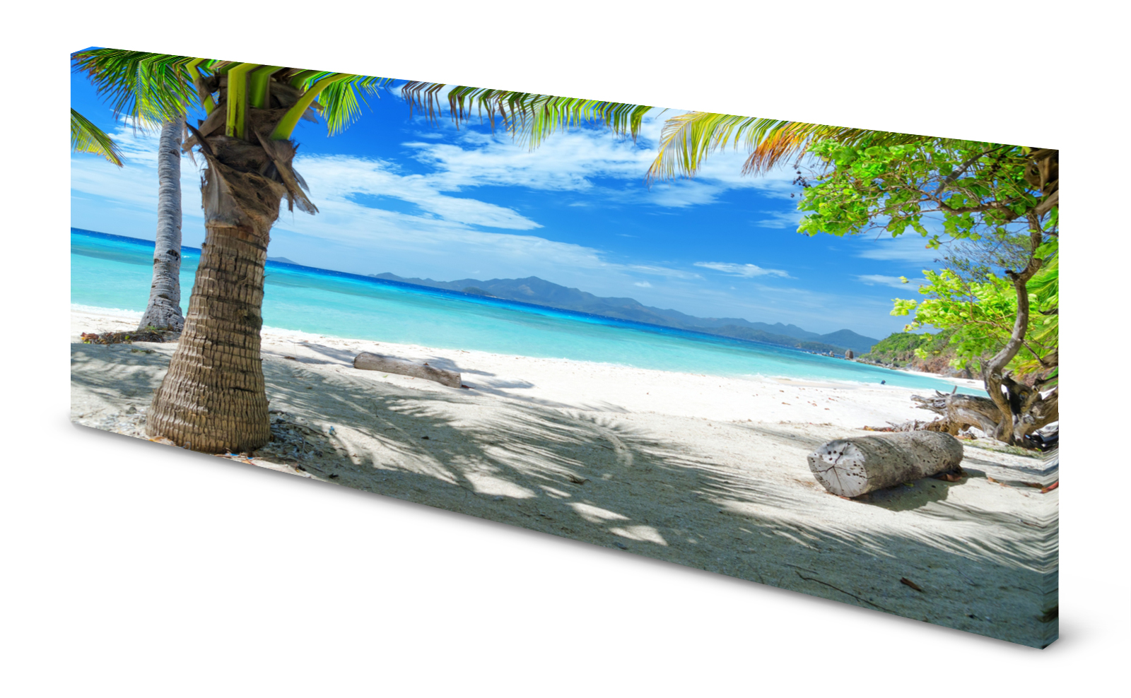 Magnettafel Pinnwand Bild Urlaub Strand Palmen Meer gekantet