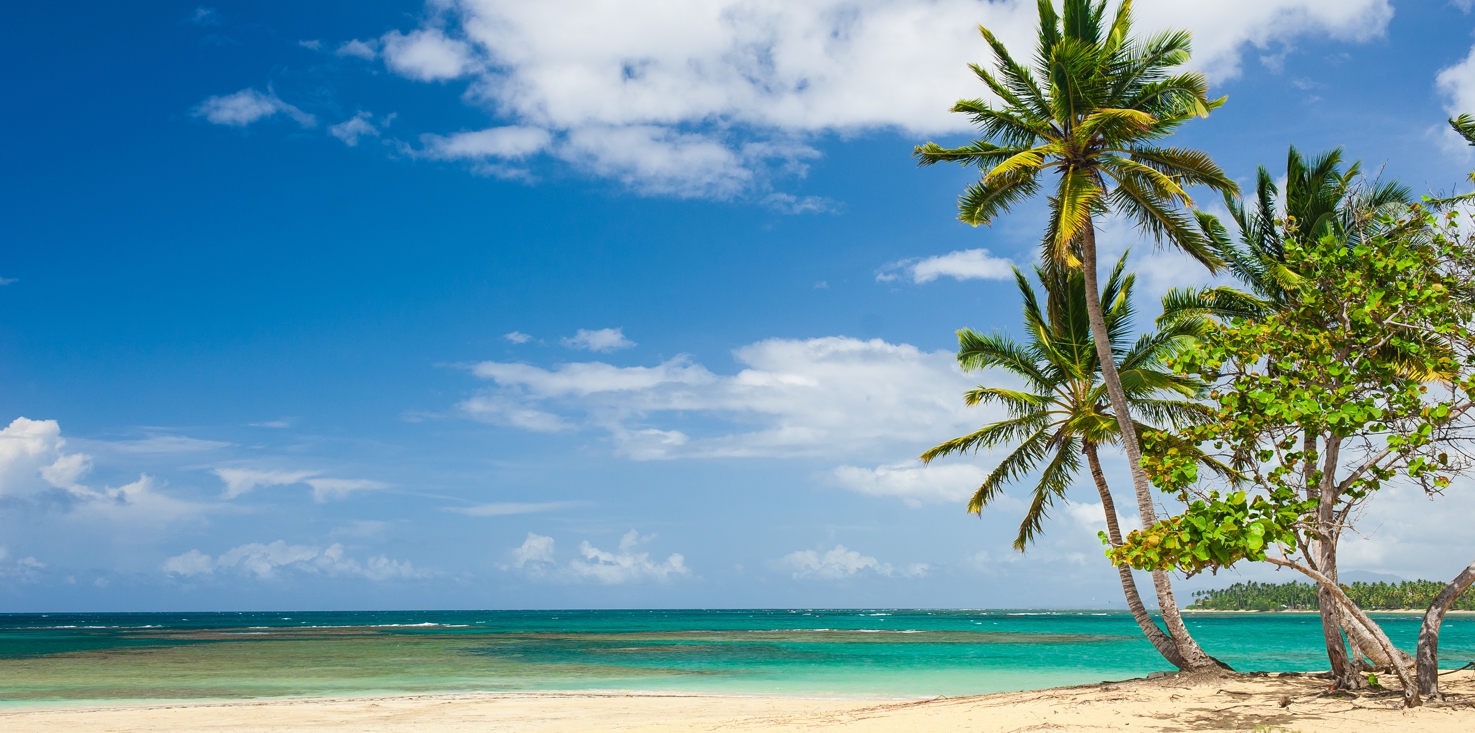 Magnettafel Pinnwand Bild XXL Panorama Karibik Palmen Meer