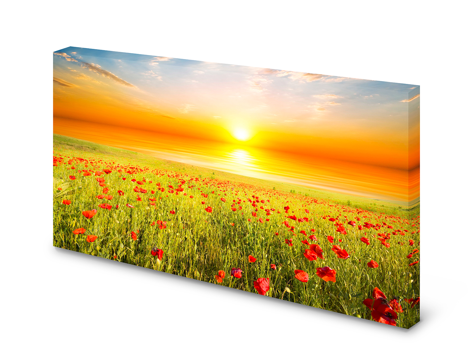Magnettafel Pinnwand Bild Mohnblumen Feld Sonnenaufgang