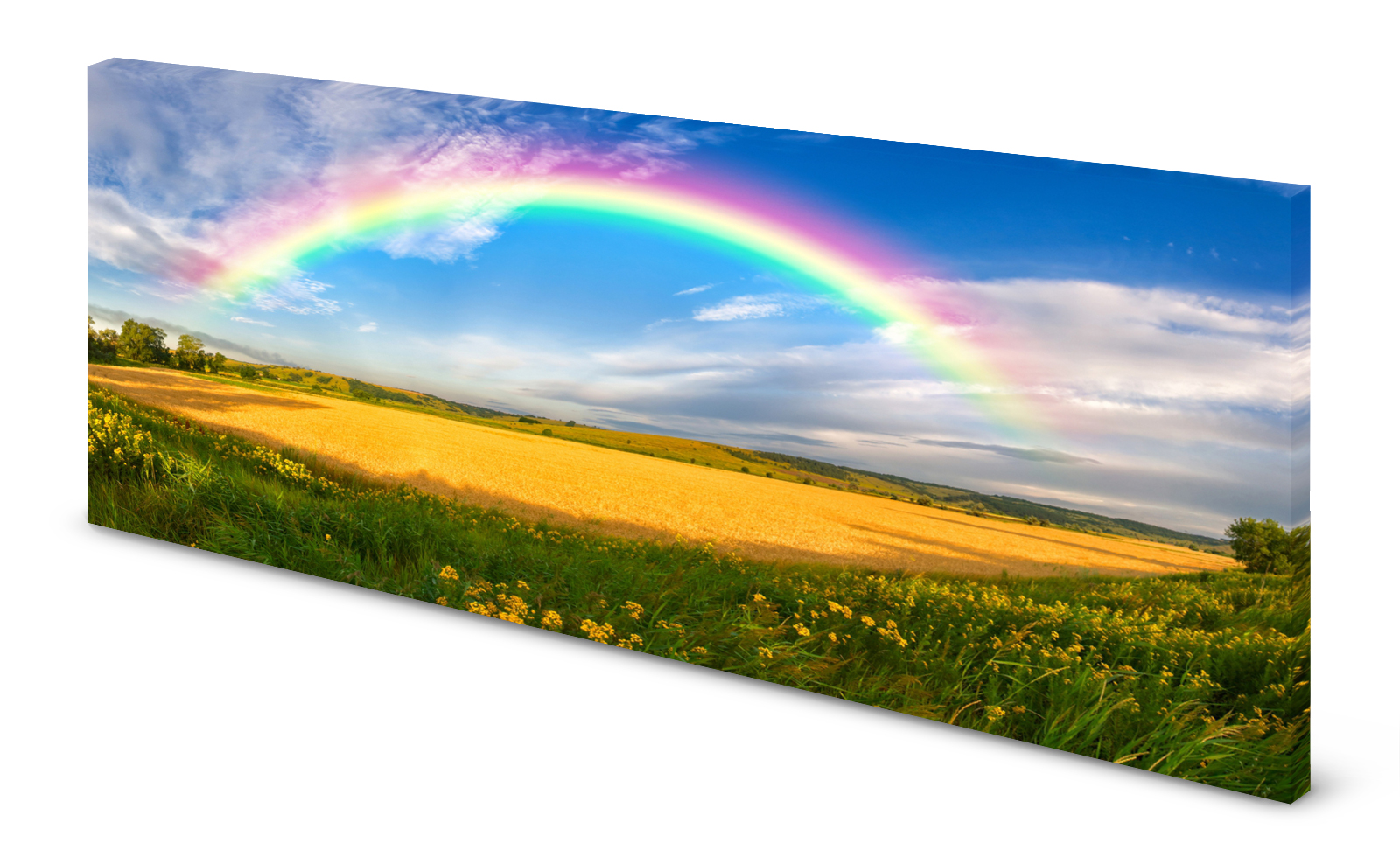 Magnettafel Pinnwand Bild Natur Rapsfeld Regenbogen gekantet