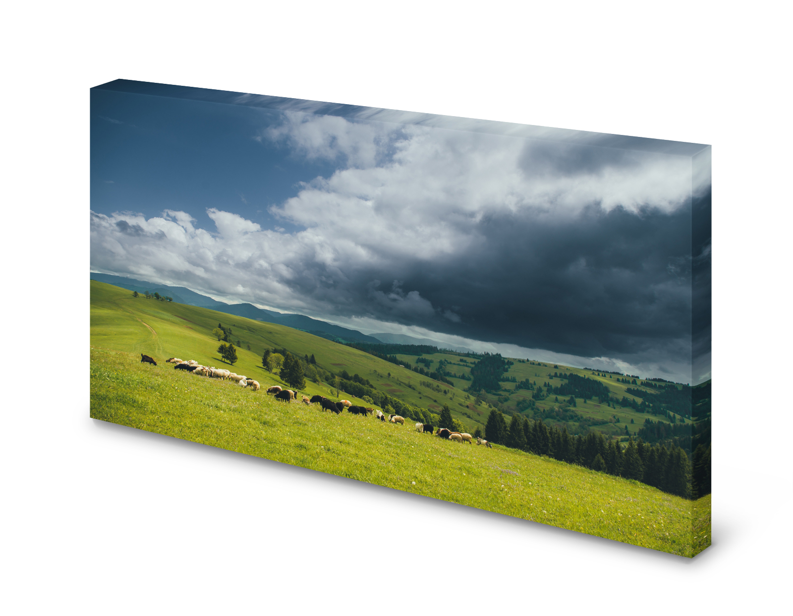 Magnettafel Pinnwand Bild Schafherde Schafe Berge Wiese Natur gekantet