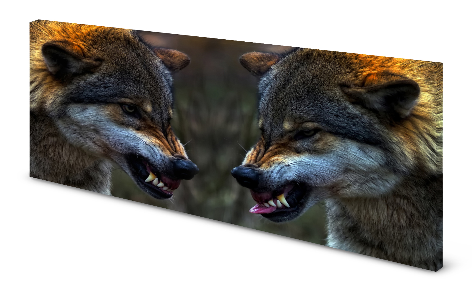 Magnettafel Pinnwand Bild Panorama Wölfe Wolf Wolfsrudel gekantet