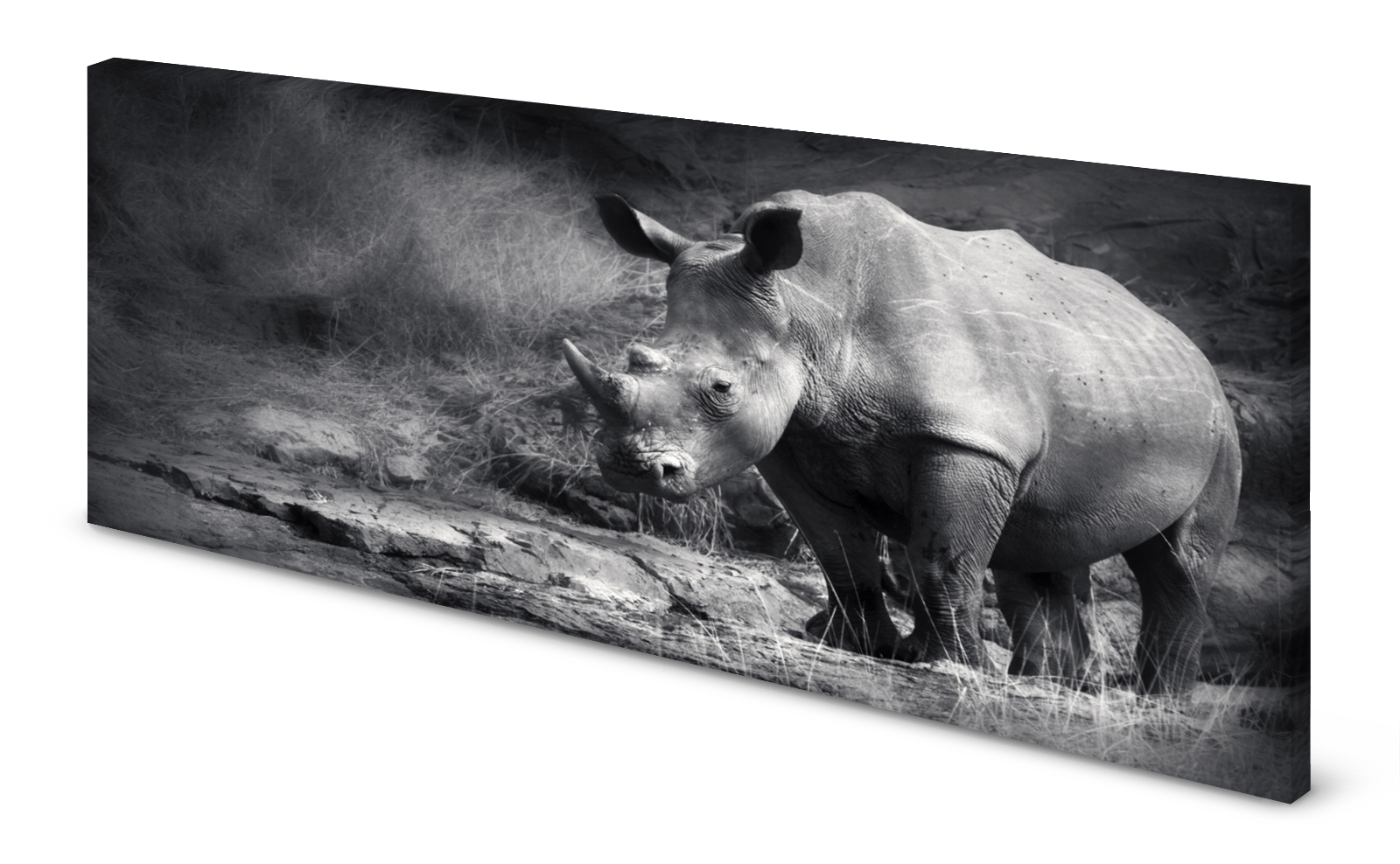 Magnettafel Pinnwand Bild Panorama Nashorn gekantet
