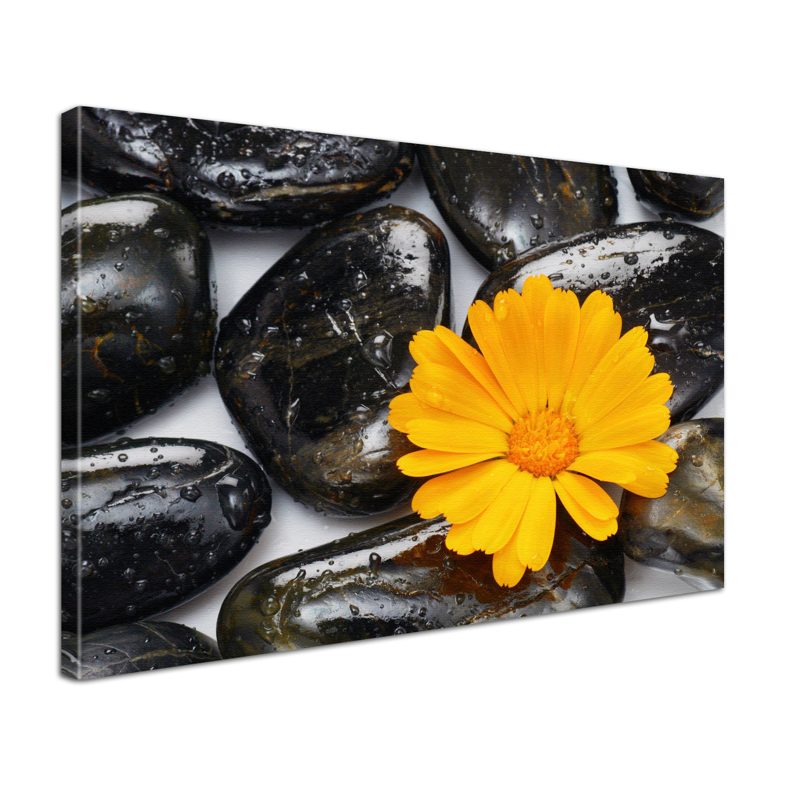 Leinwandbild Bild Wandbild Natur & Blumen schwarze Steine und Blume