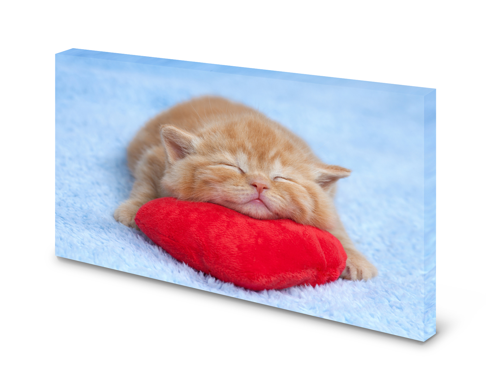 Magnettafel Pinnwand Bild Babykatze Katze Herz XXL gekantet