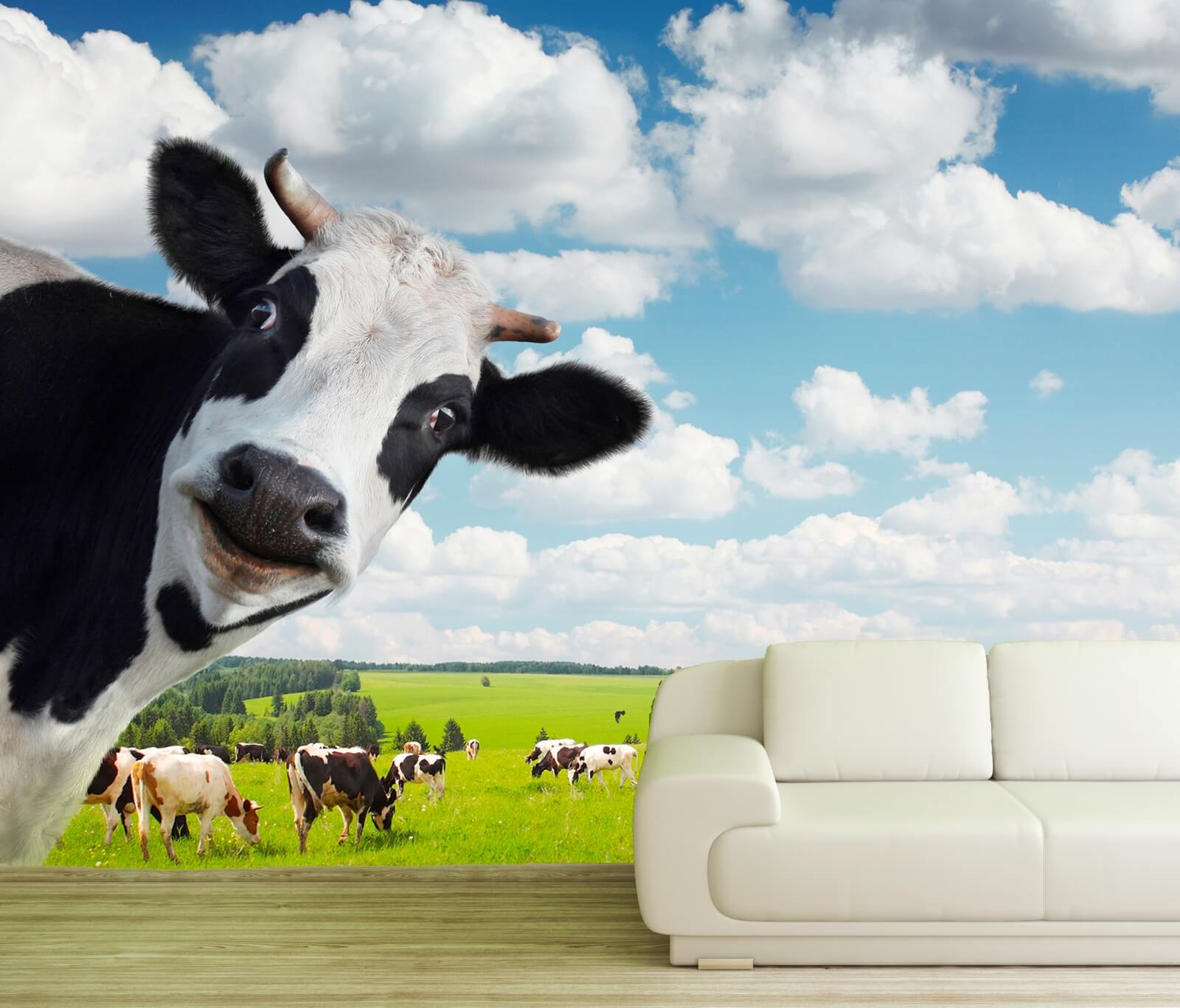 Vlies Tapete XXL Poster Fototapete Kuh Herde Holsteiner