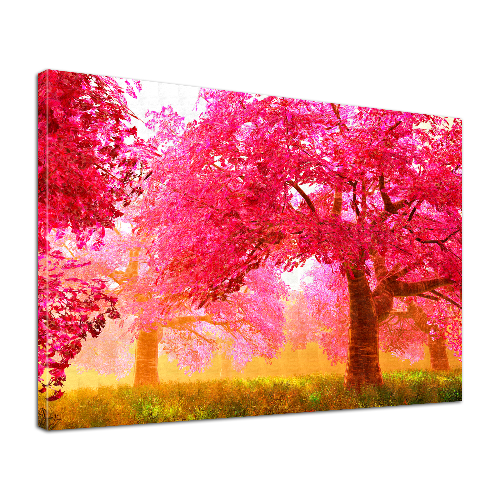 Leinwandbild Bild edel  Natur Bäume in pink surreal