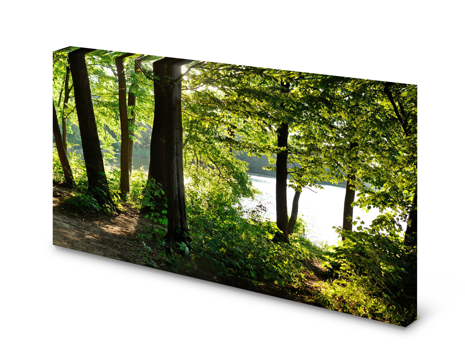 Magnettafel Pinnwand Bild Natur Bäume See Ufer Wald gekantet