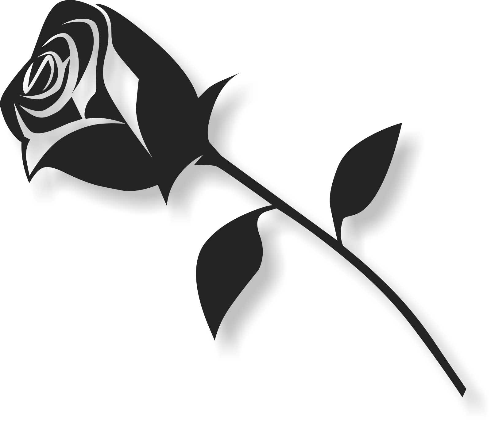 Bild Wandbild Wandtattoo Acryl Mobile Rose Blume