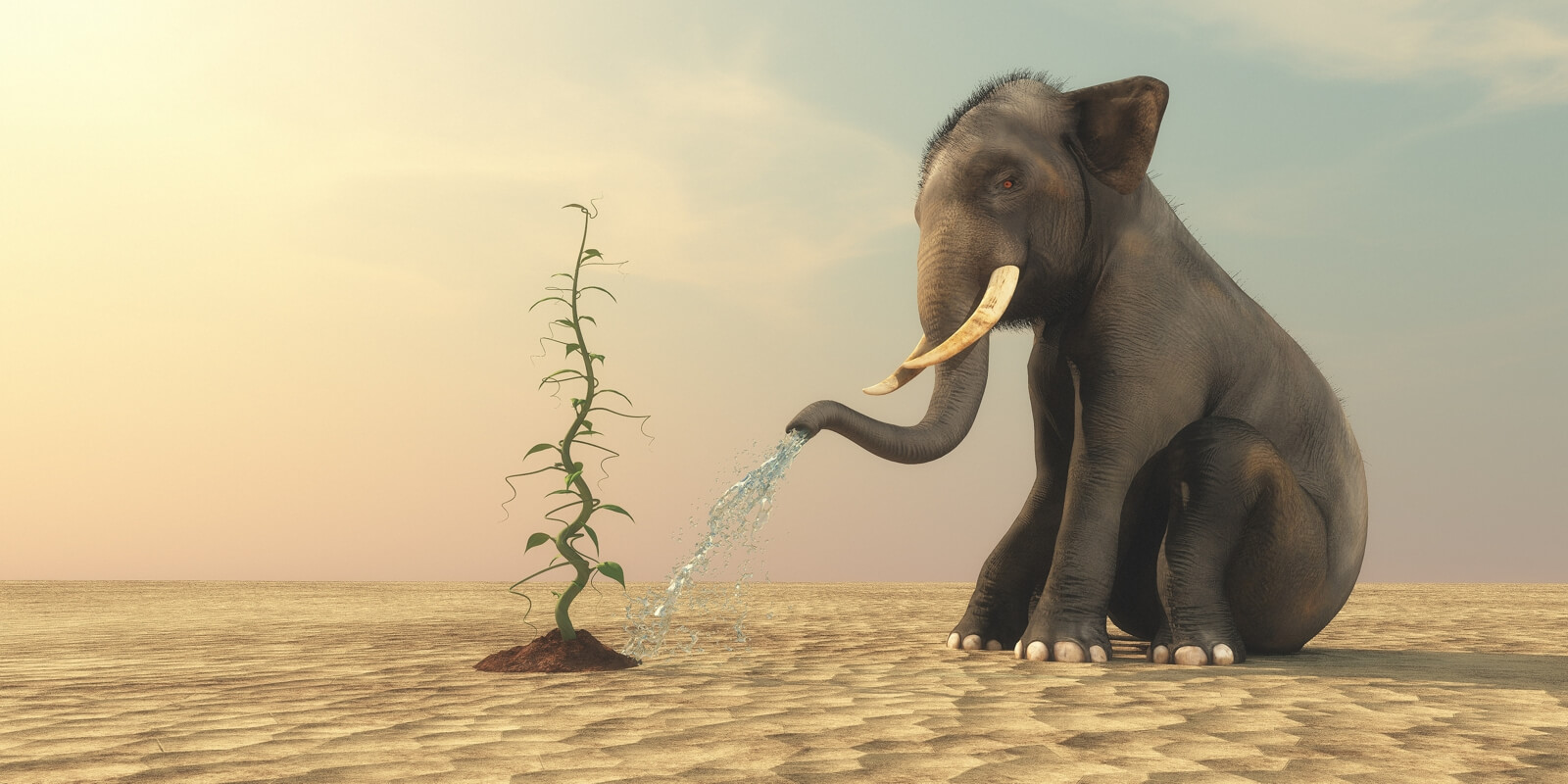 Vlies Tapete Poster Fototapete Panorama Elefant Wüste Pflanze