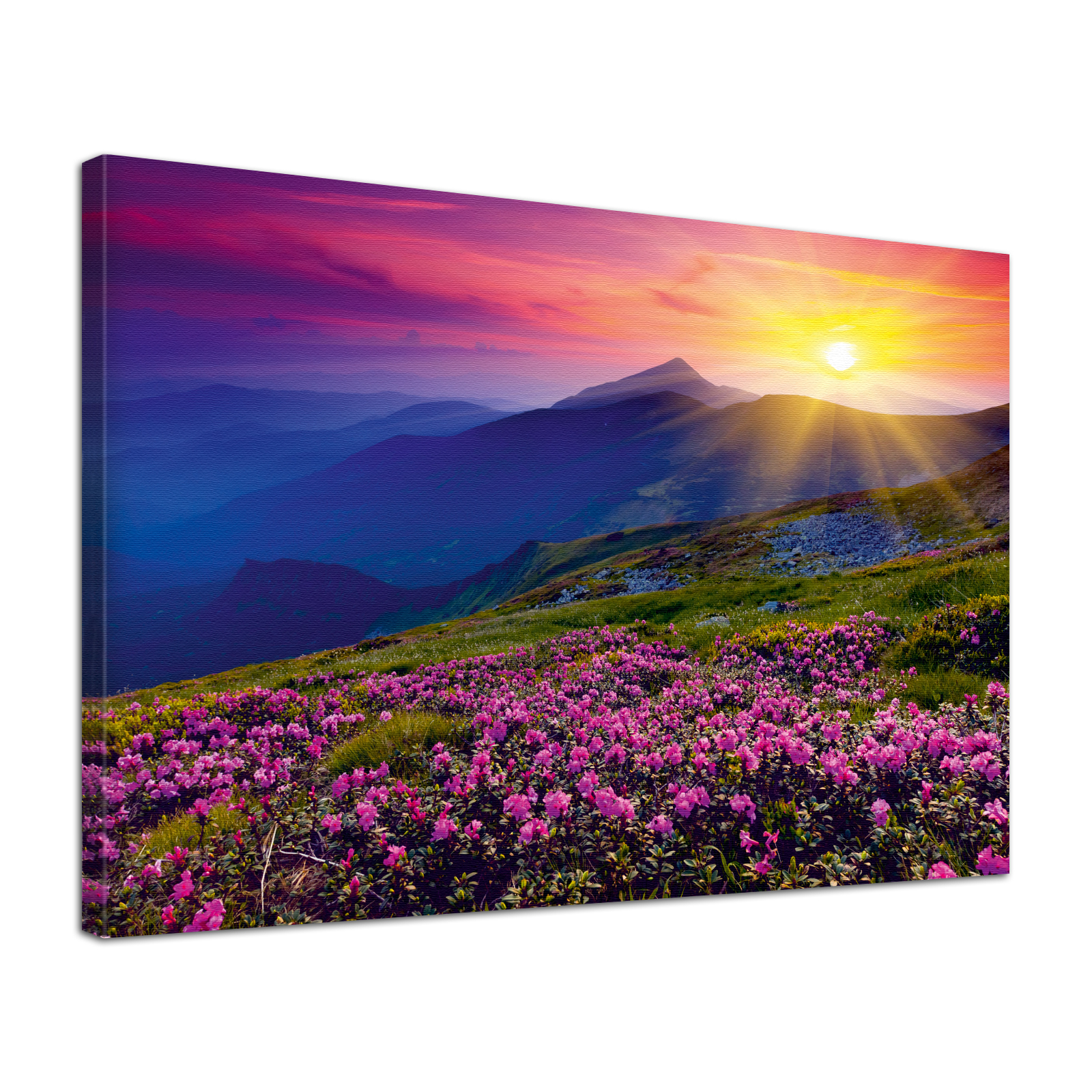 Leinwand Bild edel  Natur Sonnenaufgang in den Bergen in lila