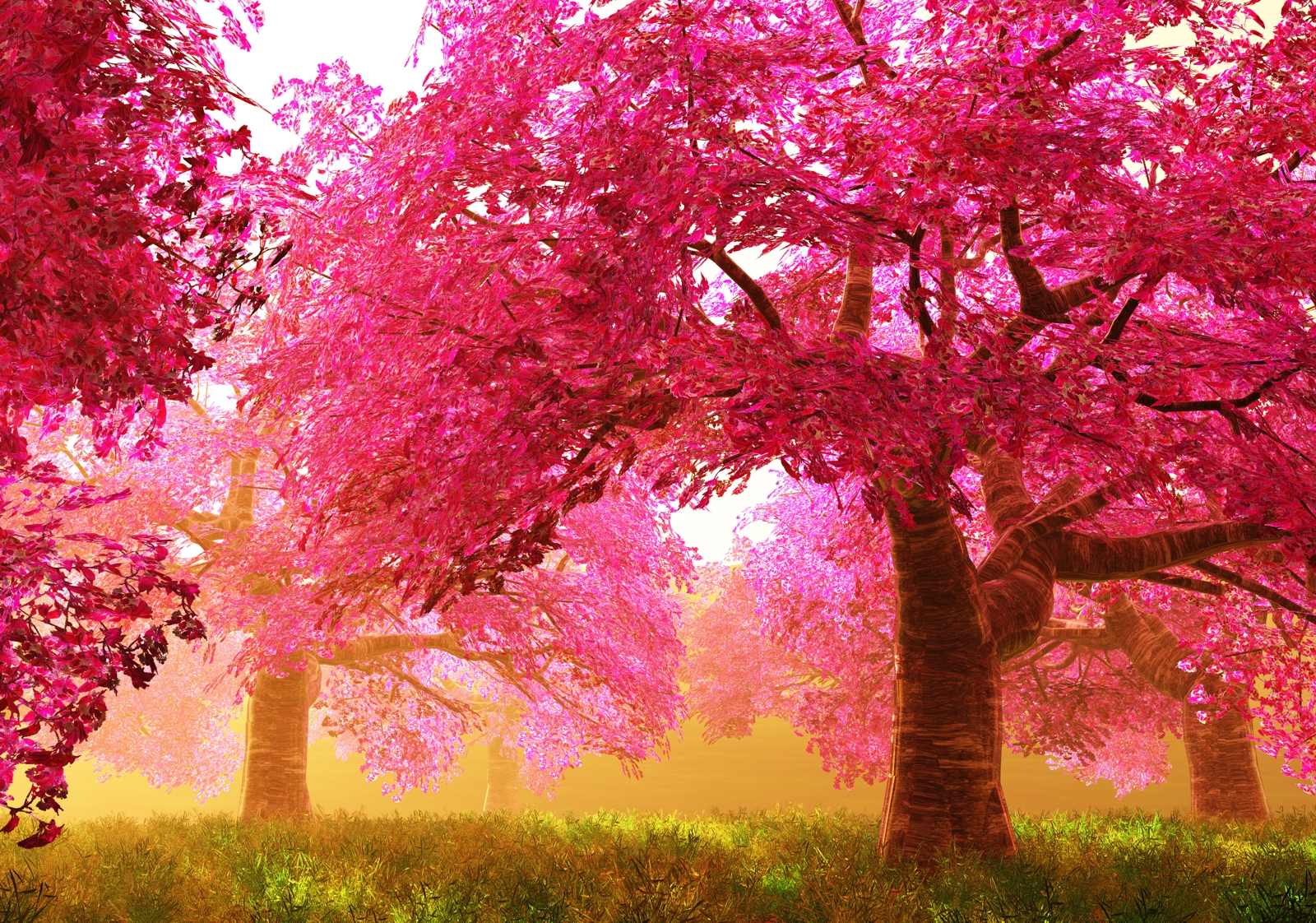 Vlies XXL-Poster Fototapete Natur & Blumen Wald pink rosa surreal