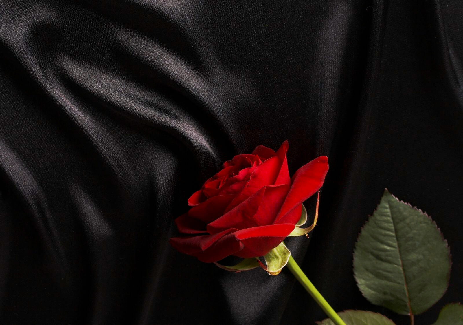 Leinwandbild Bild Wandbild Natur & Blumen rote Rose auf schwarzer Seide