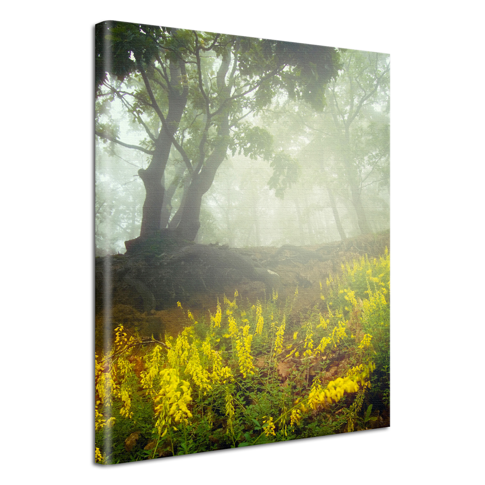 Leinwand Bild edel Blumen im Wald & Nebel