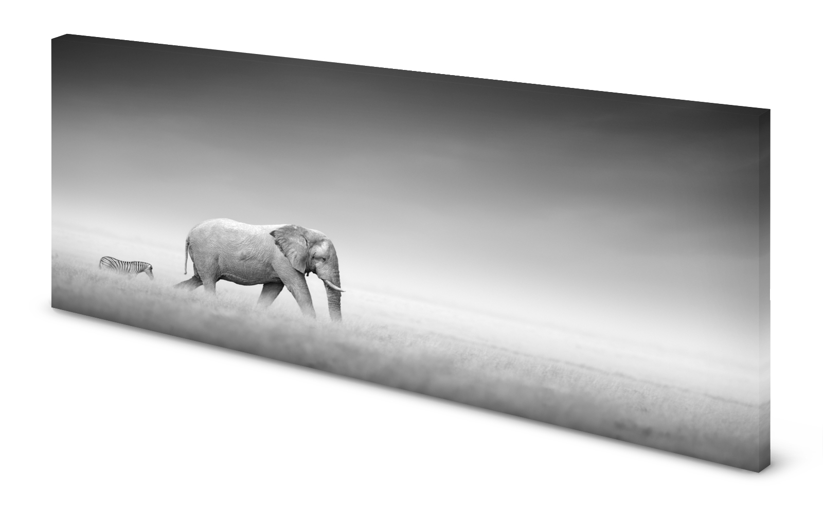 Magnettafel Pinnwand Bild Elefant Zebra Teamplayer gekantet
