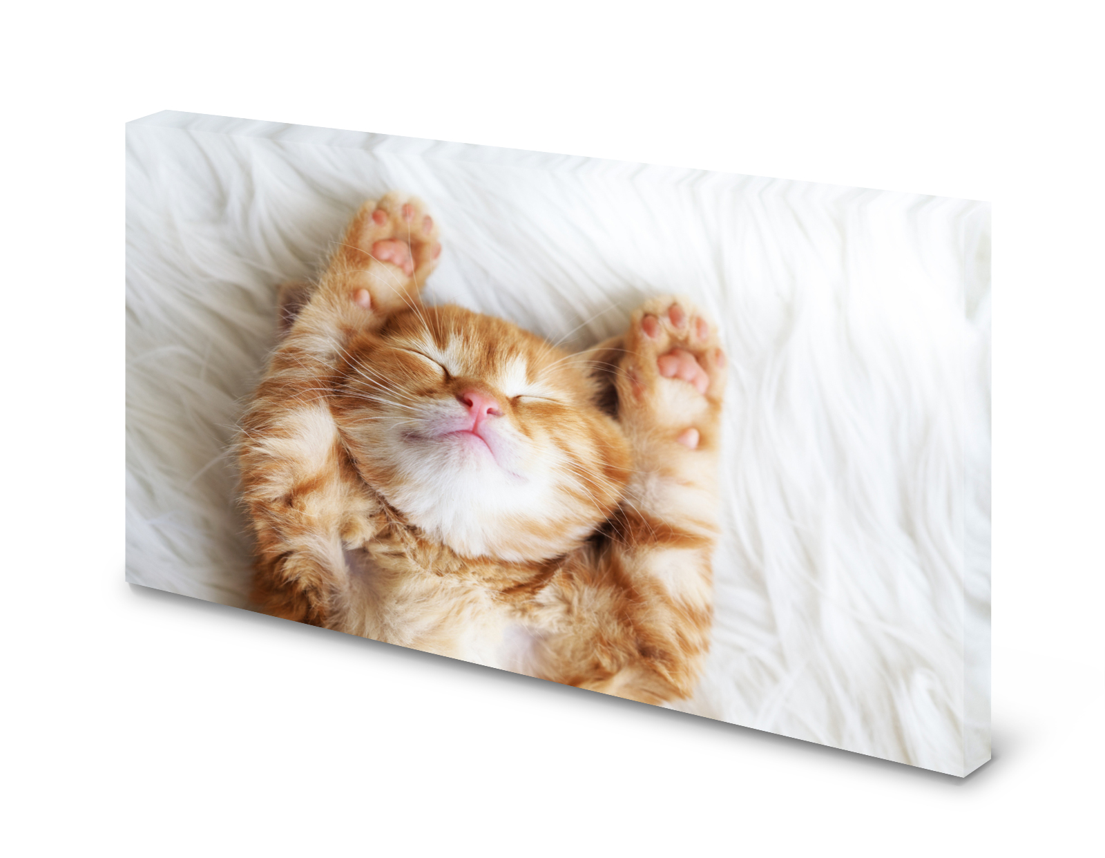 Magnettafel Pinnwand Bild Kätzchen Katze XXL gekantet