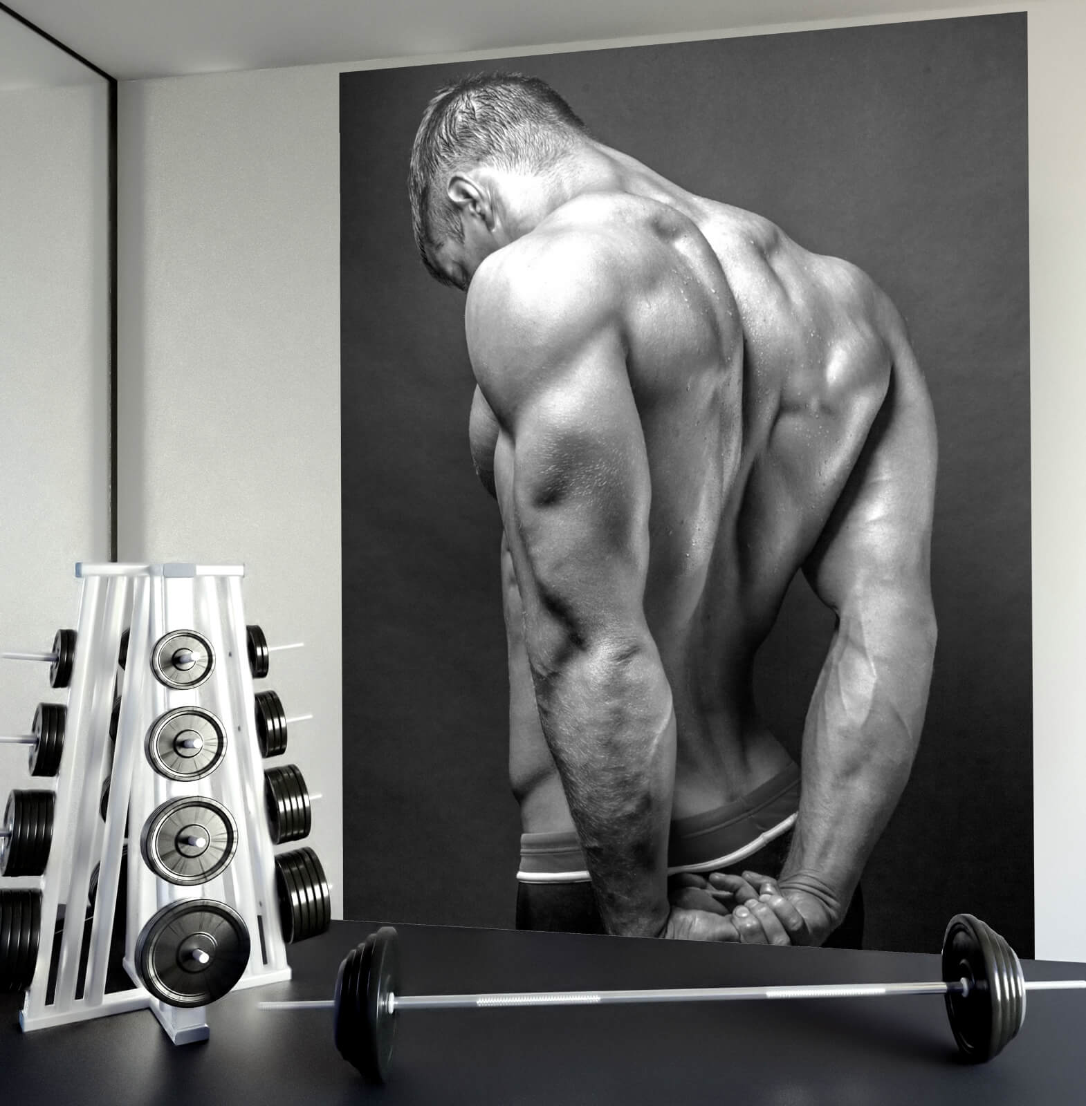 Fototapete XXL Poster Vlies Sport Fitness Delta Muskeln Body