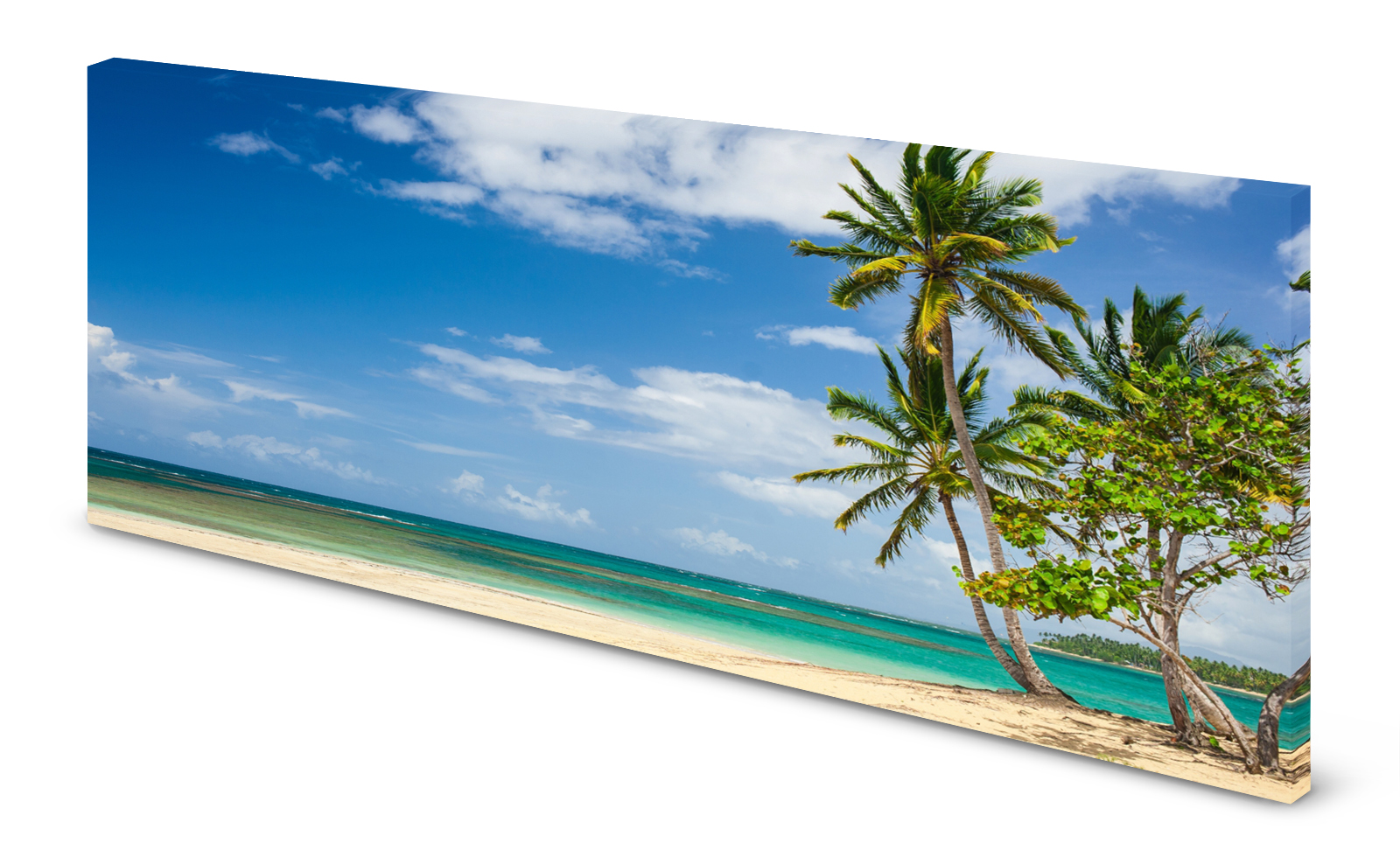 Magnettafel Pinnwand Bild Meer türkis Palmen Strand gekantet