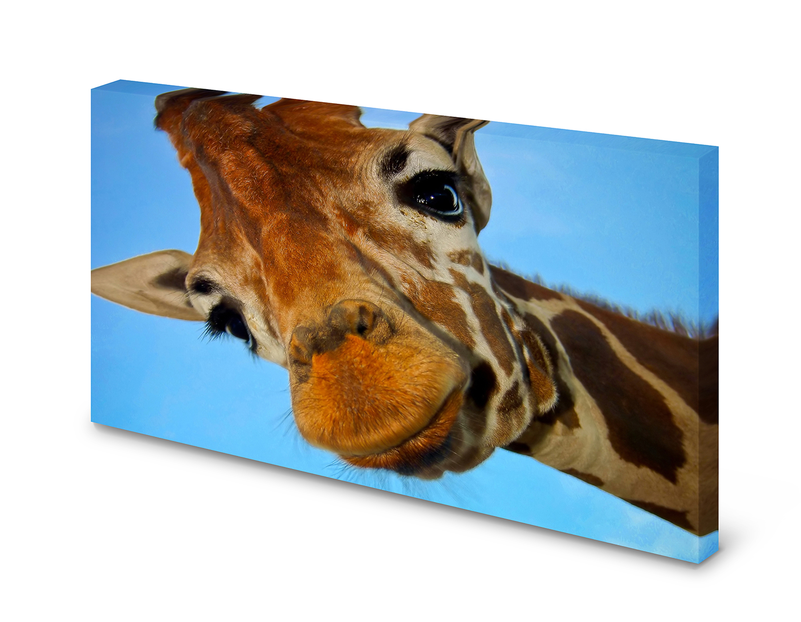 Magnettafel Pinnwand Bild Giraffe Himmel XXL gekantet