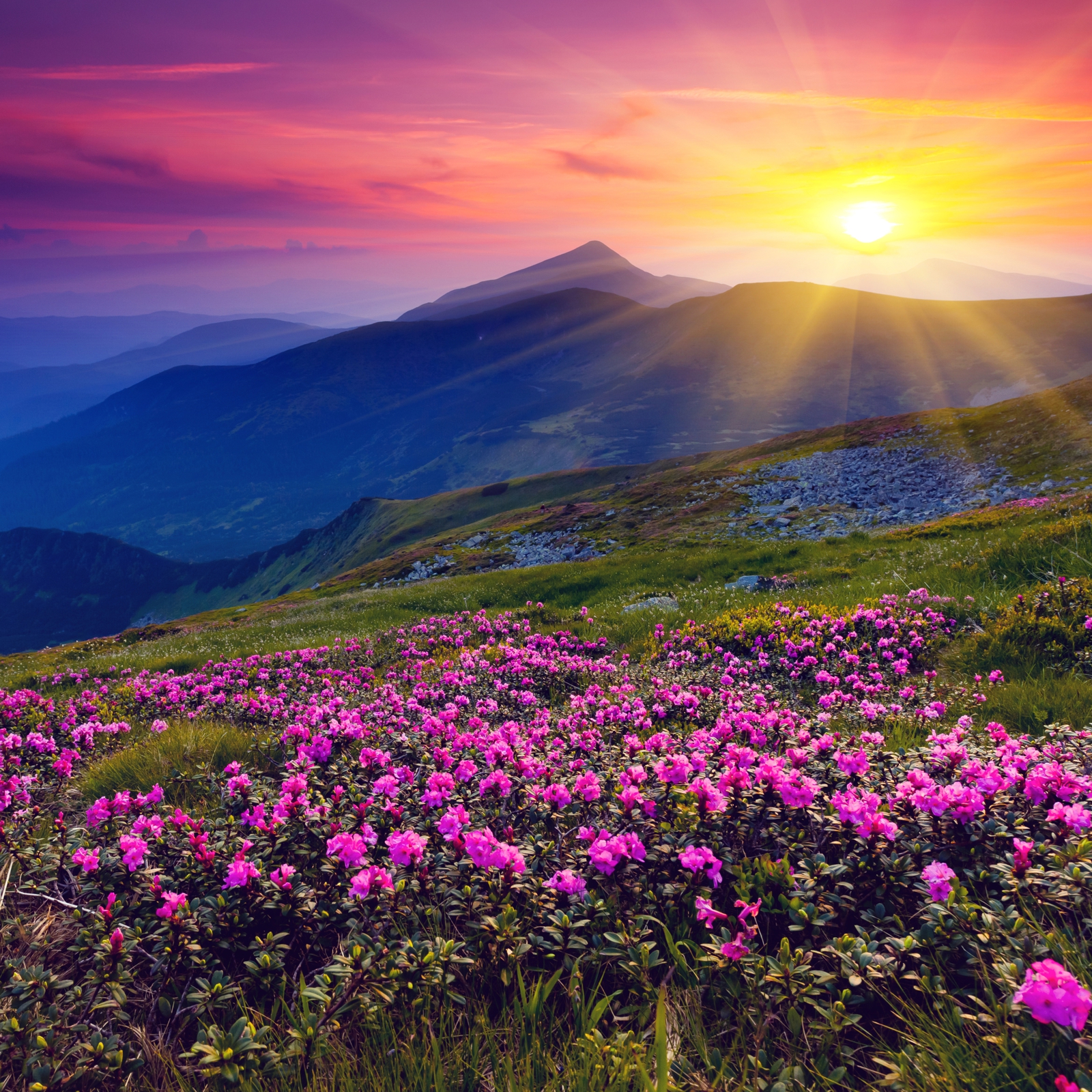 Beistelltisch Couchtisch mit Motiv  Natur Berge & Landschaft im Sonnenaufgang