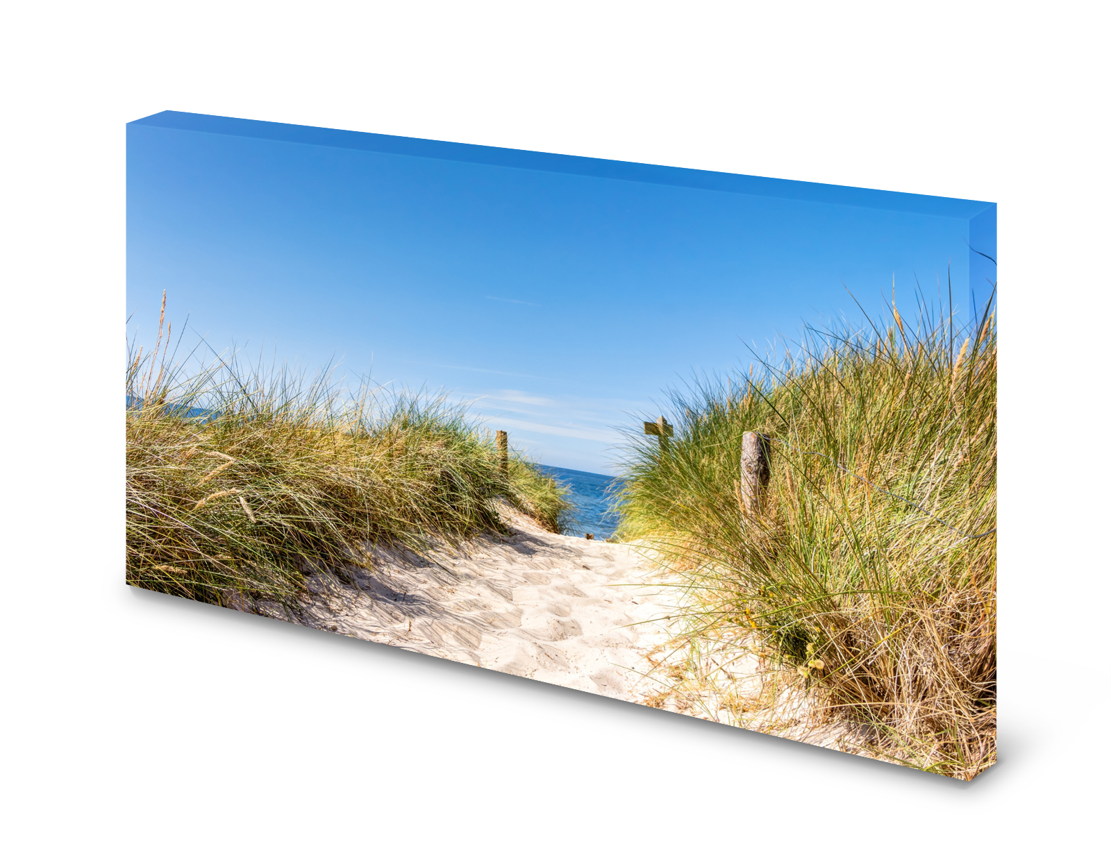 Magnettafel Pinnwand Bild Natur Düne Weg Strand gekantet