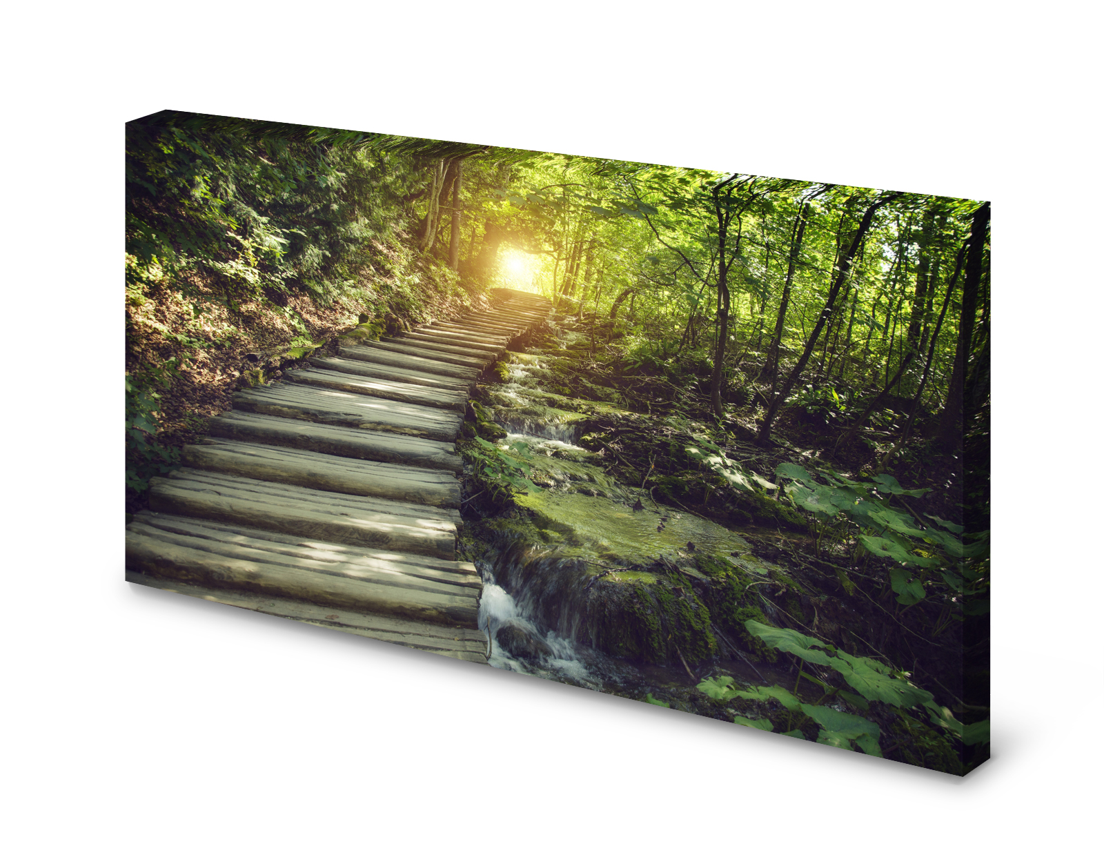 Magnettafel Pinnwand Bild Natur Wald  Lichtung Sonne Treppe gekantet
