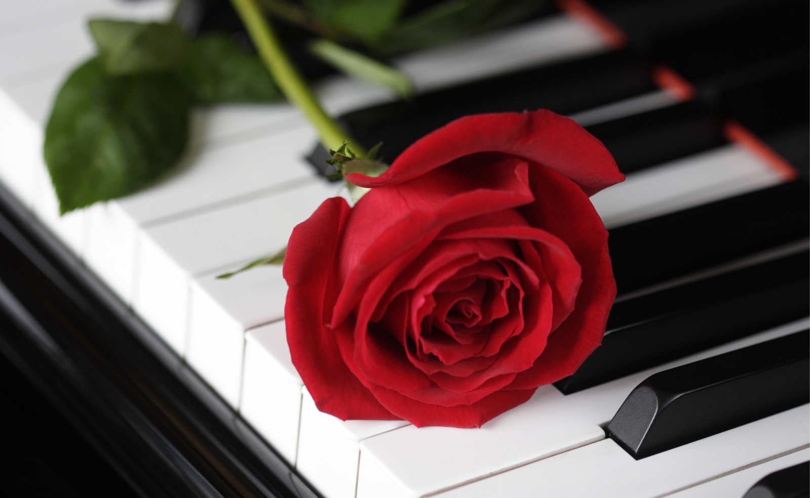 Couchtisch mit Motiv Rose & Klavier