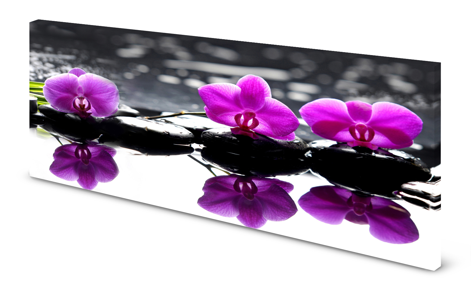 Magnettafel Pinnwand Bild Orchidee schwarze Steine Zen gekantet